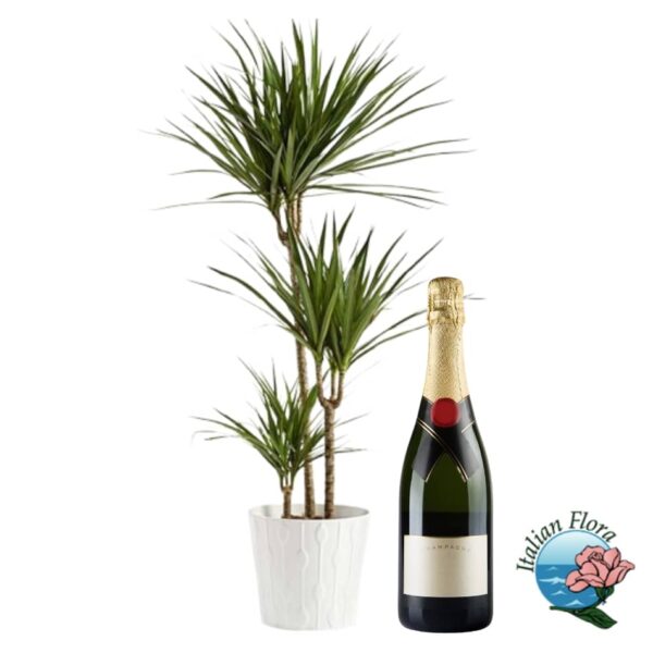 Green plant with bottle of sparkling wine
