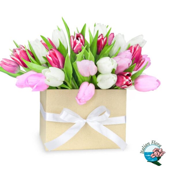 Pink and white tulips